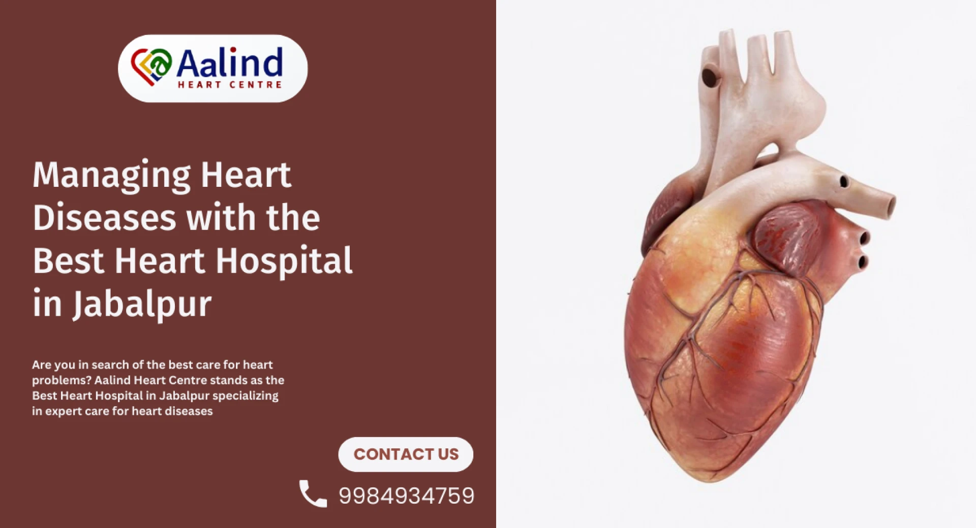 Heart-Healthy Habits: Expert Guidance from the Best Cardiologist Near Me