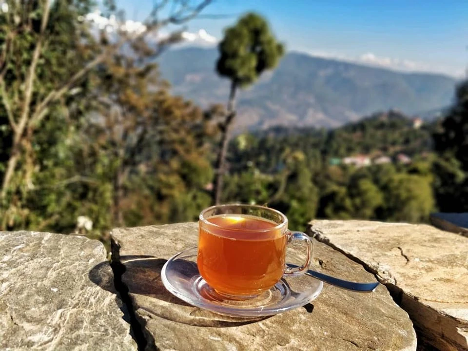 Best Things to know before you plan a visit in Almora and Ranikhet