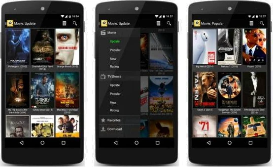 Movie Streaming Apps How To Develop a live Video streaming Application?
