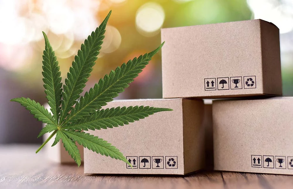Why a Weed Subscription Service Will Help You Save Money