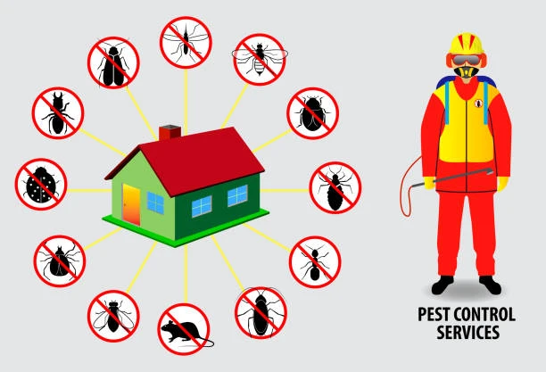 Effective Pest Control Services in Jaipur