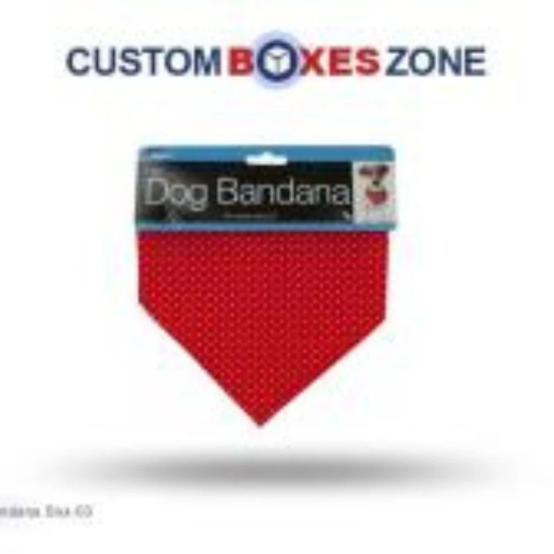 Get the Best Wallet Box for Yourself