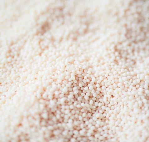 What are BioBags made of?