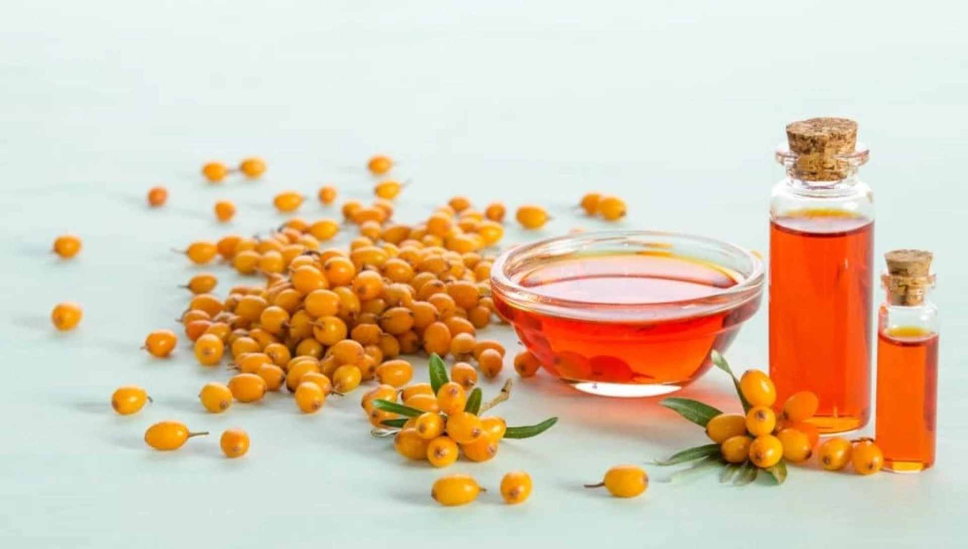 Sea Buckthorn Oil: The What, Why &amp; Best Of It