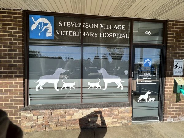 Maximize Your Window Space: Design Tips for Effective Window Signs