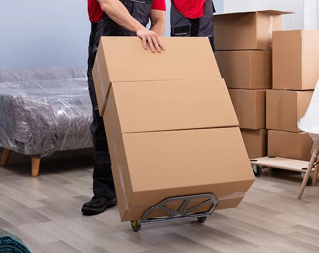 Best Removalists For Moving Boxes Adelaide Can Ever Offer