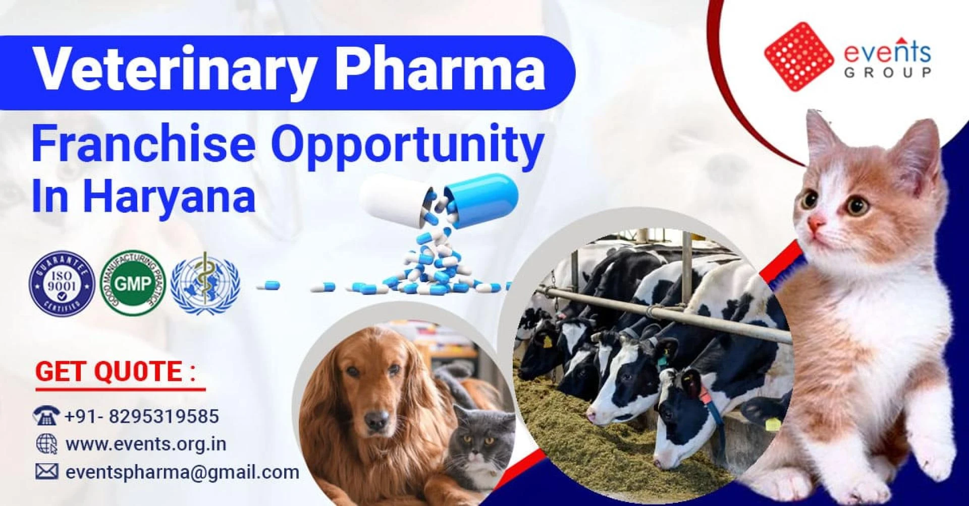 Veterinary Pcd Company in Haryana: Ensuring Quality Care for Animals