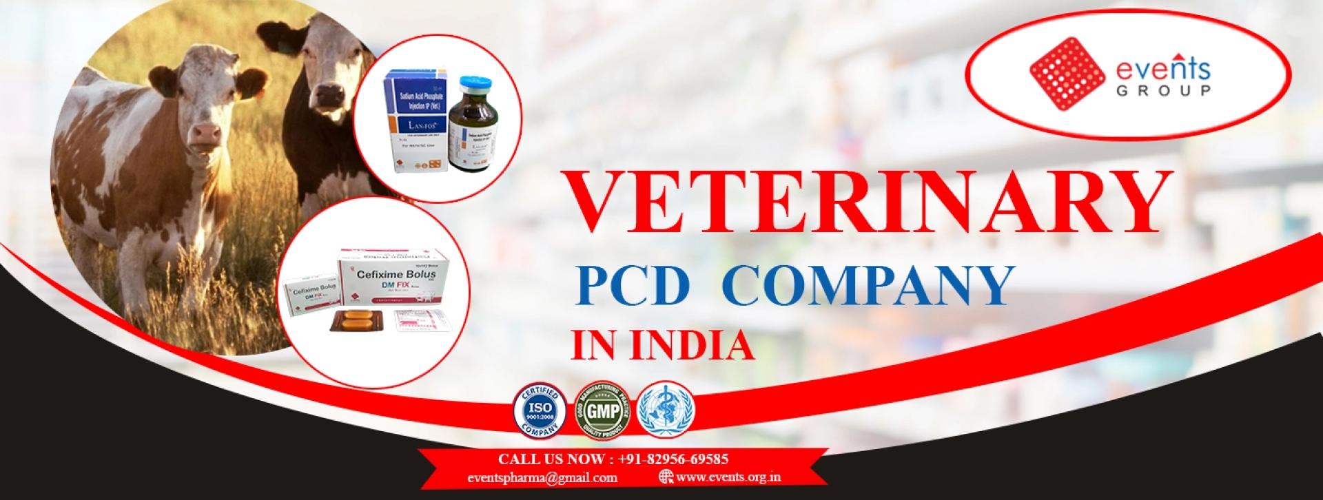Veterinary PCD Company in India: Events Pharmaceuticals Pvt. Ltd. - Your Trusted Partner in Veterinary Care