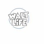 Check Best Disney Monthly Subscription Boxes &amp; Gift Boxes At Walt Life