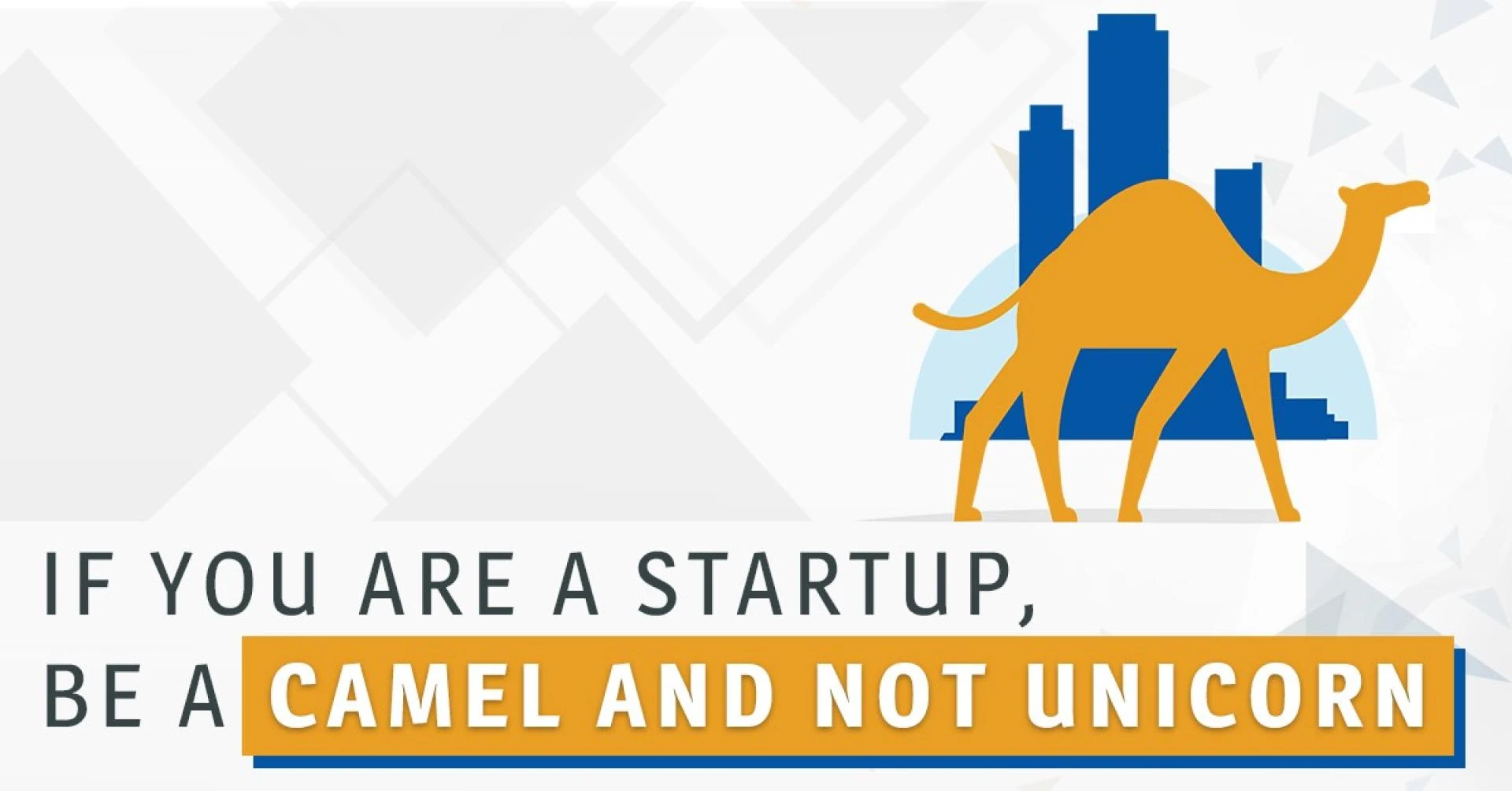 If you are a startup, be a Camel and not Unicorn