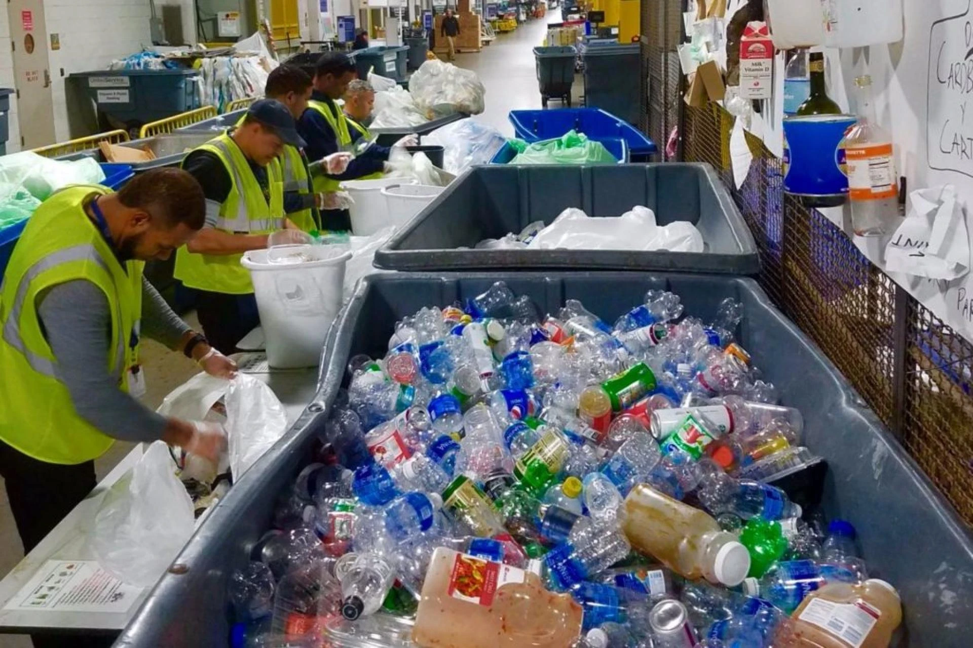 From Collection to Processing: How Waste Management Technologies are Streamlining Recycling?