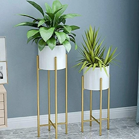 5 Most Buy Planters for summer 2023