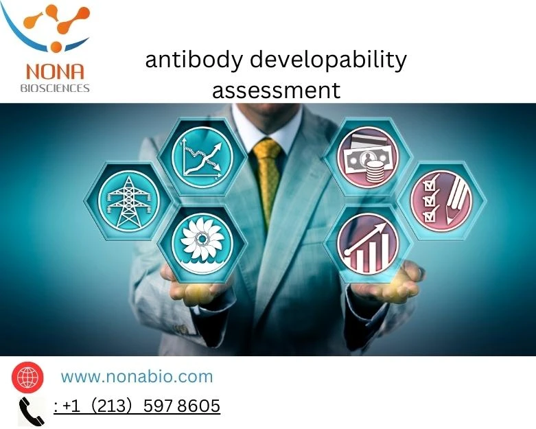 Enhancing Biopharmaceutical Development: Nona Biosciences' Comprehensive Antibody Developability Assessment