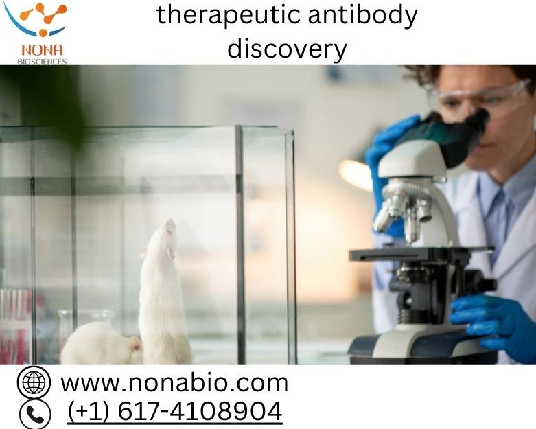 Advancing Healthcare through Therapeutic Antibody Discovery: Nona Biopharma's Innovative Approach