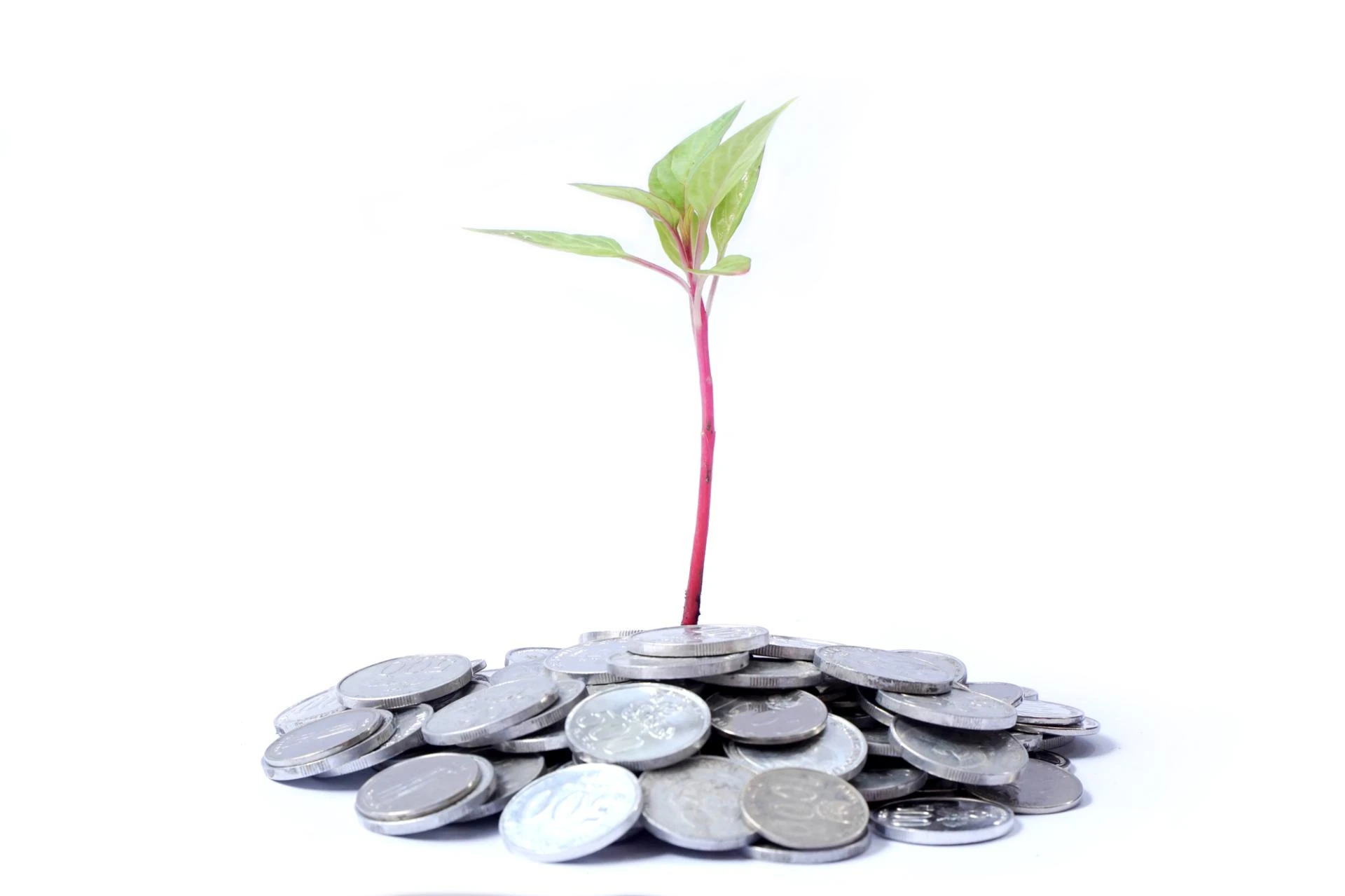 How Can Fixed Deposit Investments Aid Retirement Planning?