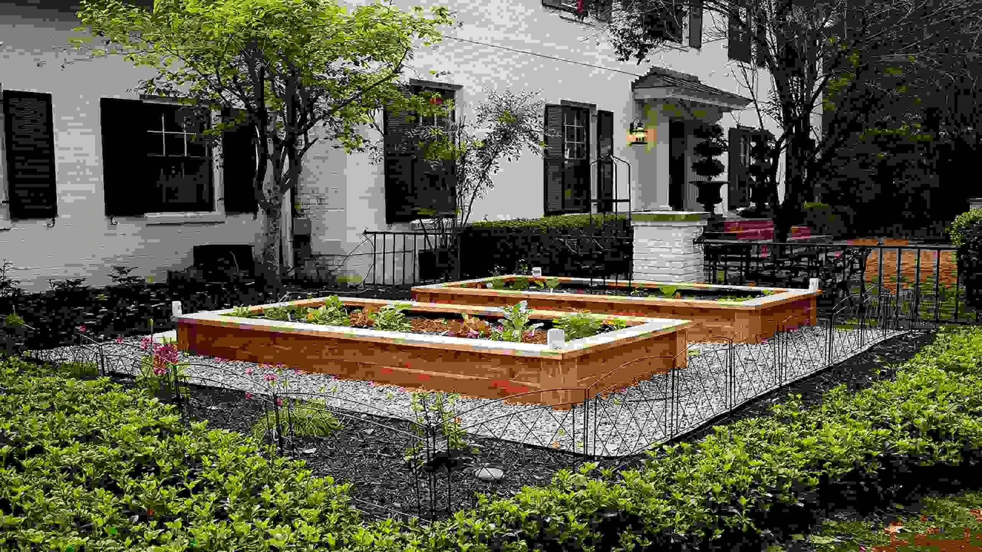 Reasons Why You Should Use a Raised Bed