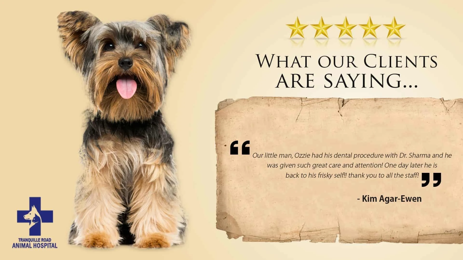 The Best Preventive Care by the Animal Clinic in Kamloops Kamloops