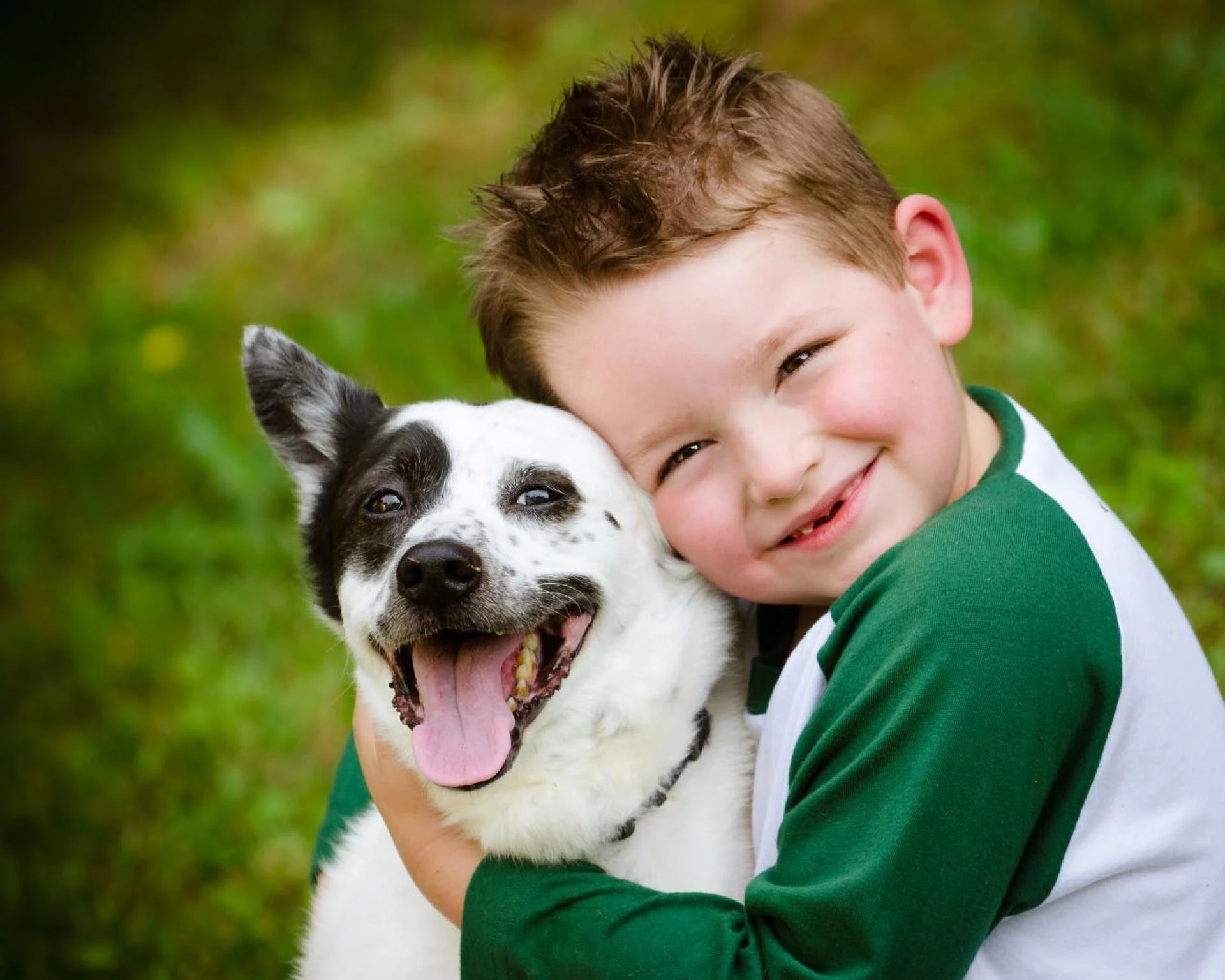 The Right Services for Your Dogs by Supportive Vets
