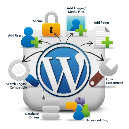 Tips For You to Pick a Great Web development Service - Start Knowing Now!