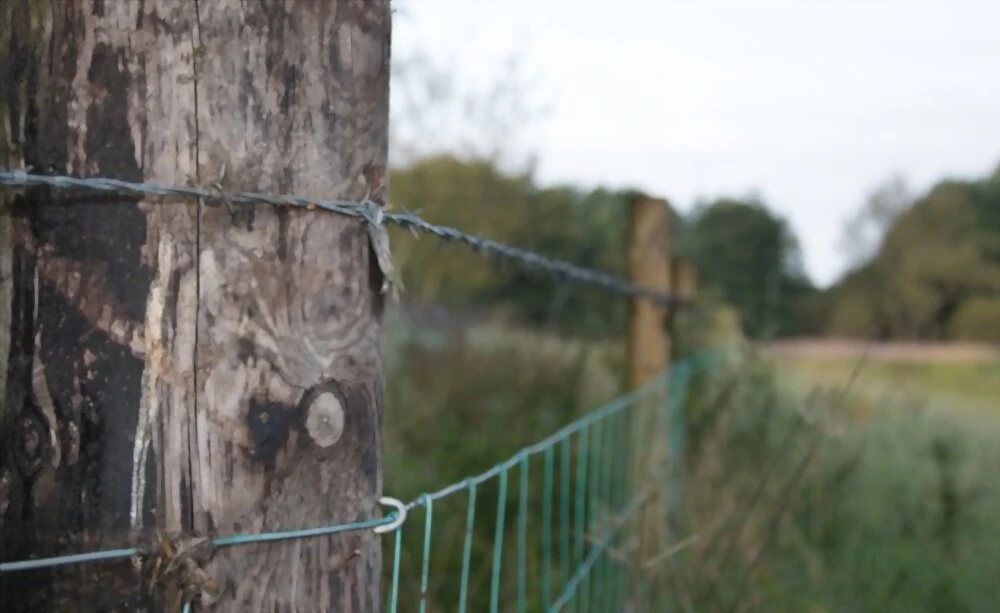 12 Reasons for Using Barbed Wire Fencing