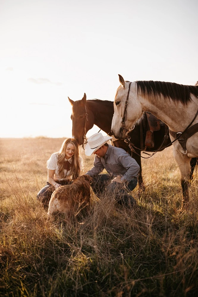 3 Things to Know About Garlic and Horses