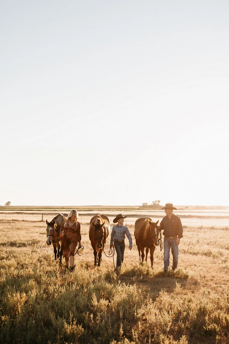 How Can You Help Your Horses When Air Quality Plummets?