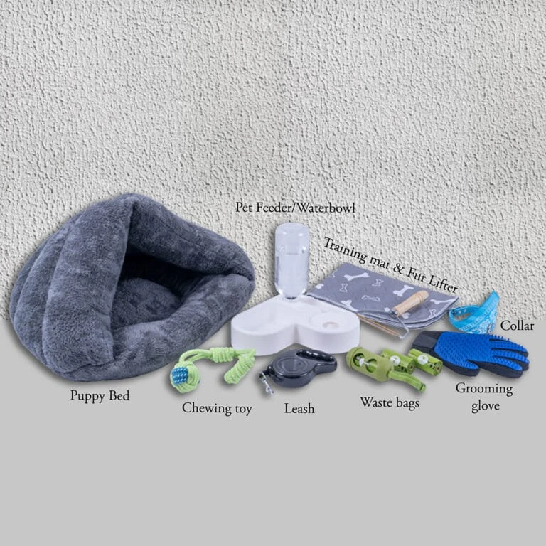 Everything You Need To Know Before Buying A Pet Starter Kit