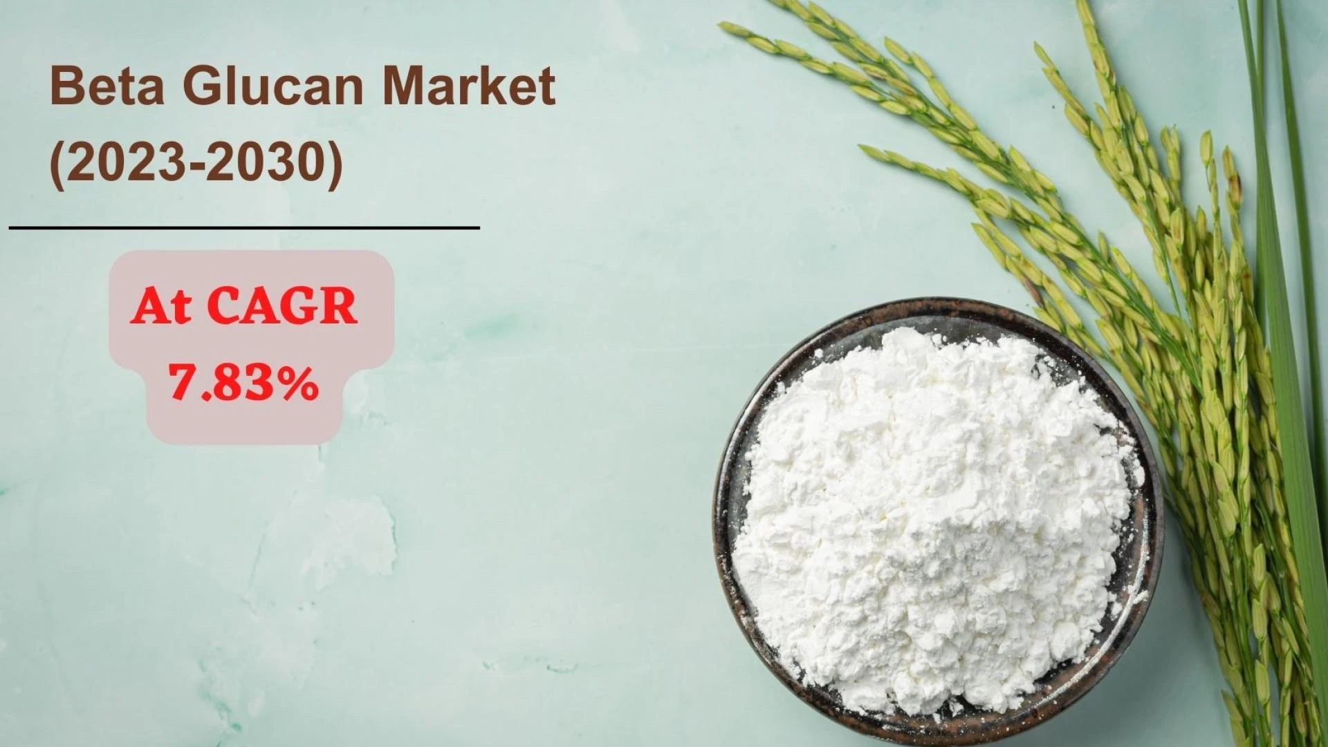 Exploring Beta Glucan Market Size, Share, and Projections for 2030