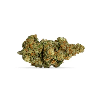 Health Benefits Of Cannabis That You Should Know