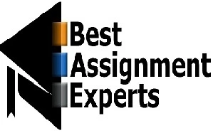 How Experts Help You In Getting Best Grades With Best Assignment Experts?