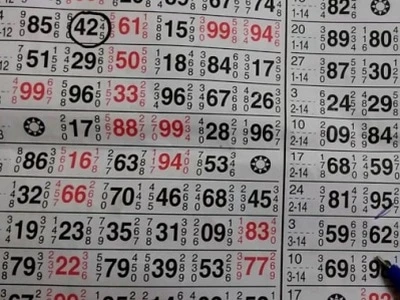 How to Bet on the Black Satta 2021 Results