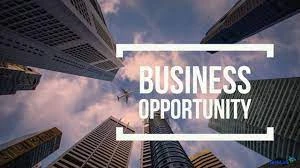 "Unleashing Potential: Exploring Lucrative Business Opportunities in Today's Market"