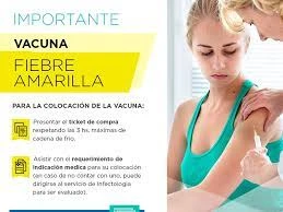 Protegiendo a Chile: El importante papel de las vacunas contra la fiebre amarilla en la salud de América del Sur