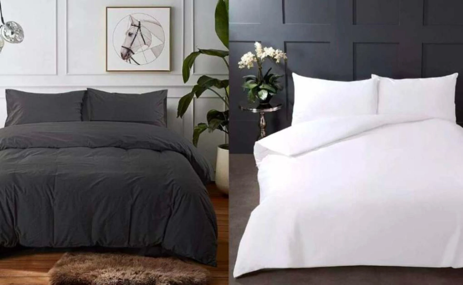 Egyptian Cotton: Is It the Best Choice for Bedding?