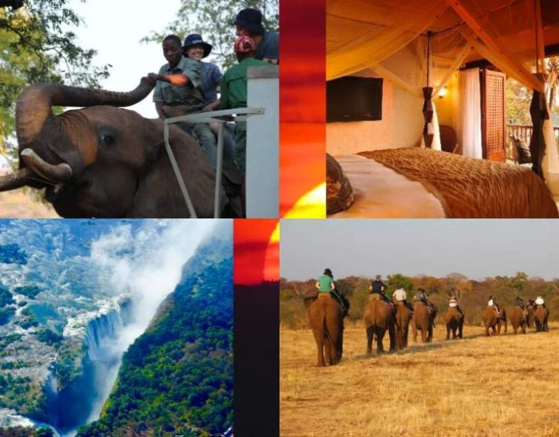 Lets Go On A Kosher Safari Getaway