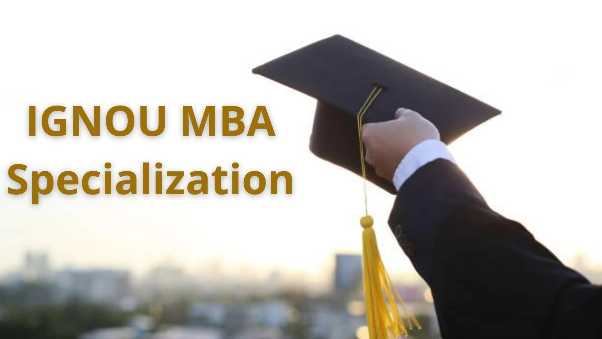 IGNOU MBA Specialization
