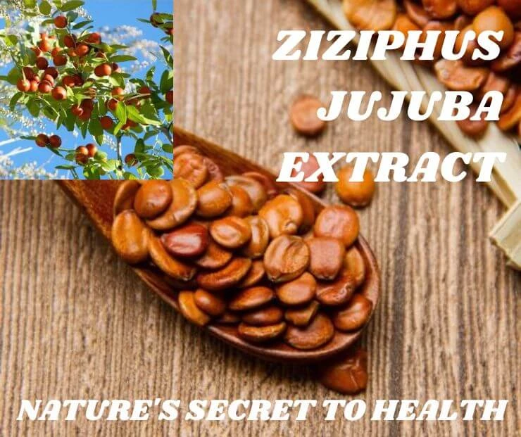 Exploring the Wellness Wonders of Ziziphus Jujuba Extract: Nature’s Secret to Health