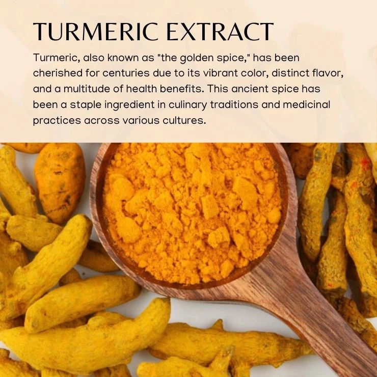 The Golden Spice: Exploring the Wonders of Turmeric
