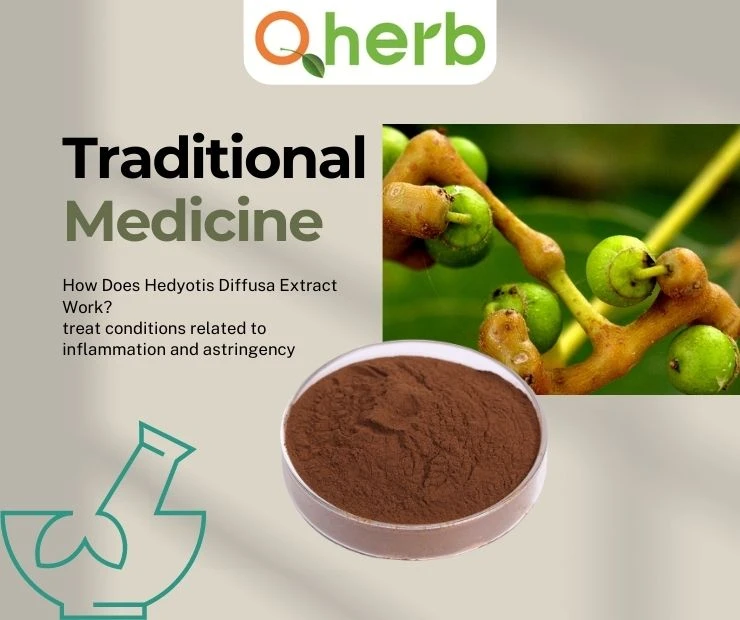 How Does Hedyotis Diffusa Extract Work?