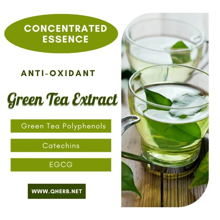 Why is so Popular of Green Tea Extract in the world?