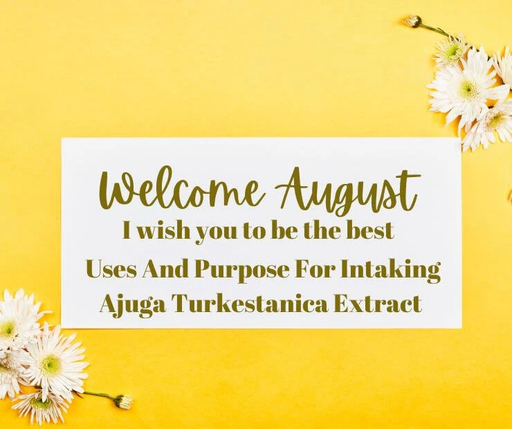 What Are The Possible Uses And Purpose For Intaking Ajuga Turkestanica Extract?