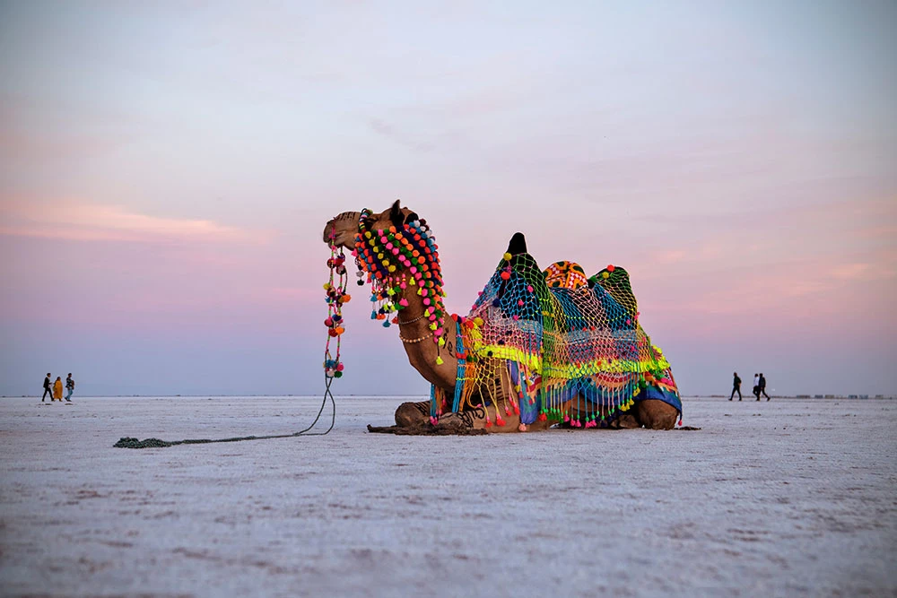 Rann Utsav-The unseen beauty of White Desert