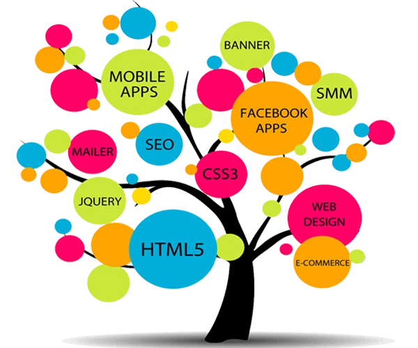 Unleashing the Potential of Web Development: Empowering Businesses in the Digital Era