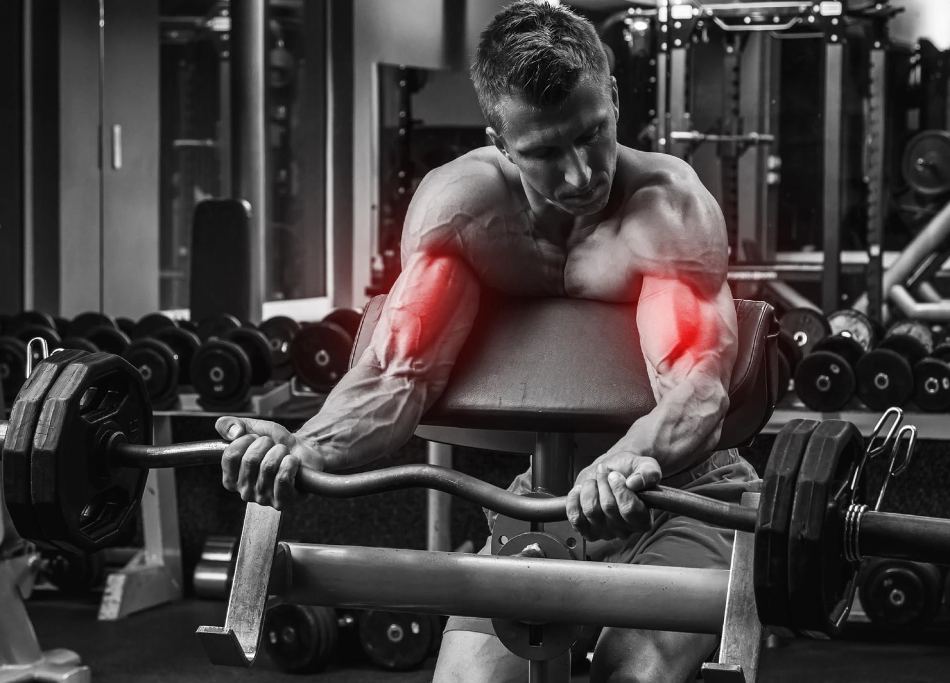 Exploring Complementary Supplements for Andro-1D 1-DHEA