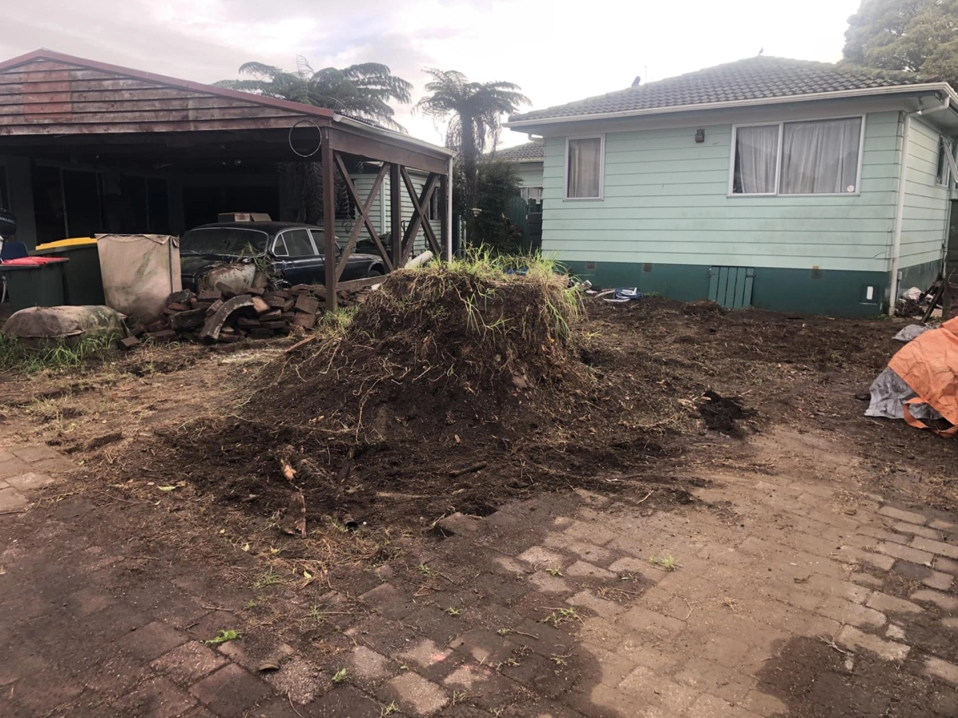 Stump Grinder Rental - What You Need to Know