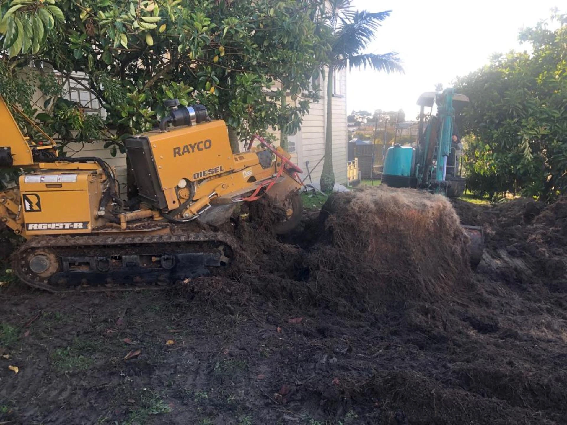 4 Helpful Tips for Removing a Tree Stump