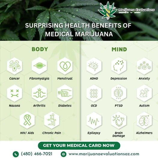 The Ultimate Guide to Obtaining an Arizona Medical Marijuanas Card
