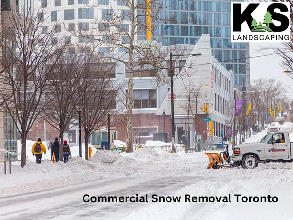 Professional Commercial Snow Removal in Toronto