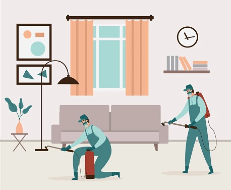 Effective Pest Management Strategies: A Comprehensive Guide