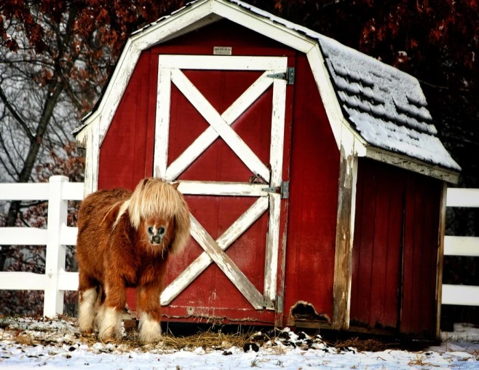 Popular Types of Pre-built Barns You Should Know
